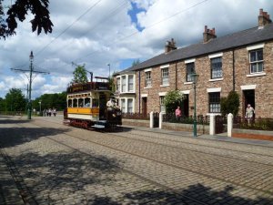 P1000374__1416564359_66096