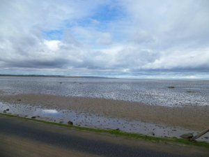 P1020126__1416560976_28594