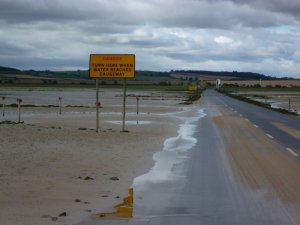 P1020128__1416560831_61360