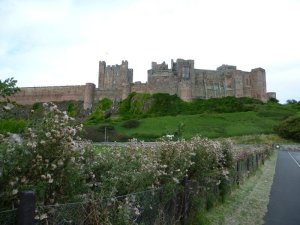 P1020149__1416561050_18074