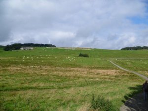 P1020180__1416561440_15175