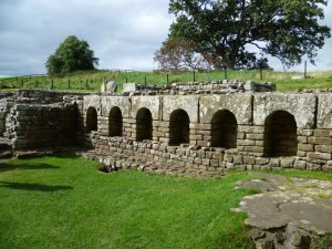 P1020186__1416561517_13352