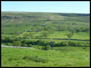 P1050070__1435054054_16488__1435054054_30499