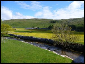 P1050073__1435054142_57705__1435054142_65365