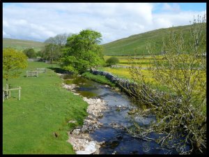 P1050075__1435054273_69702__1435054273_64342