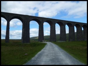 P1050084__1435054343_35949__1435054343_85968