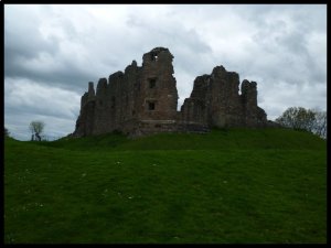 P1050099__1435054581_95519__1435054581_12393