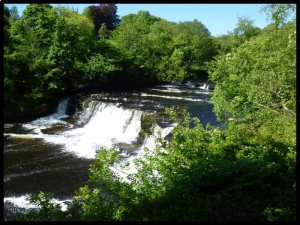 P1050121__1435066701_16827__1435066701_41837