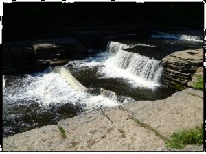 P1050128__1435066762_75523__1435066762_93742