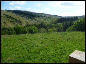 P1050192__1435067346_10163__1435067346_39252