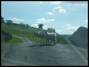 P1050194__1435067407_83788__1435067407_35622