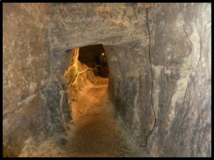 P1050228__1435084395_66004__1435084395_57698