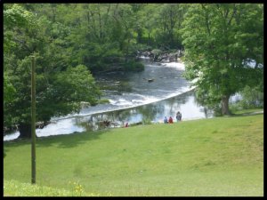 P1050291__1435138532_97418__1435138532_28381