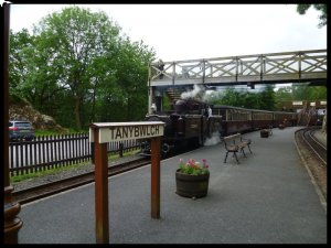 P1050304__1435138731_49543__1435138731_51196