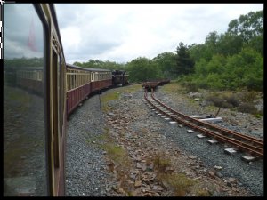 P1050310__1435138806_74963__1435138806_60412