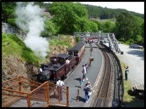 P1050316__1435138870_47854__1435138870_69619