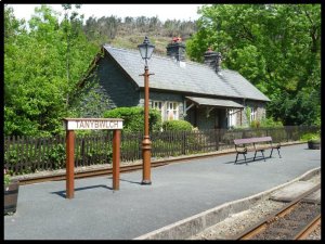 P1050318__1435138939_12940__1435138939_93923