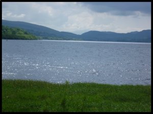 P1050329__1435139009_12296__1435139009_84672