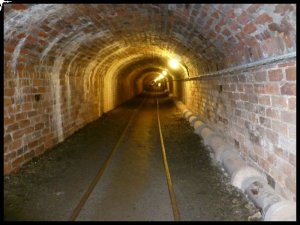 P1050405__1435171740_72056__1435171740_63396