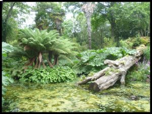 P1050475__1439840024_23051__1439840024_96732