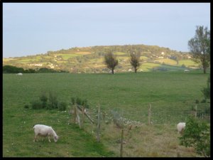 P1050482__1439840180_50653__1439840180_29891