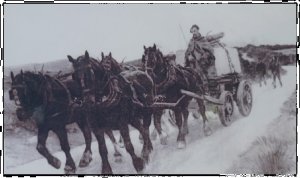 P1050509__1439840415_20011__1439840415_19031