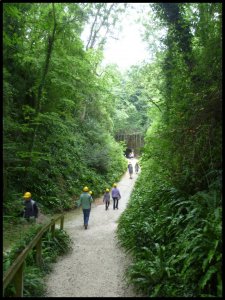 P1050510__1439840502_27675__1439840502_27550