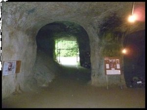 P1050514__1439840571_18307__1439840571_36814