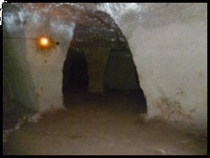 P1050523__1439840784_99891__1439840784_69959