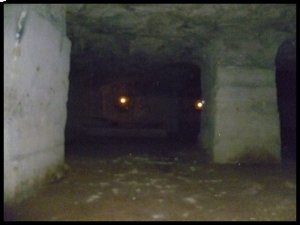 P1050532__1439841086_35865__1439841086_60688