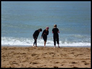 P1050561__1439841292_58802__1439841292_31195