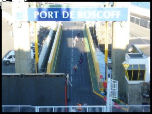 P1050635__1446615296_60188__1446615296_74578