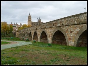 P1050653__1446738608_97177__1446738608_48247