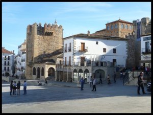 P1050717__1446923558_74709__1446923558_94125