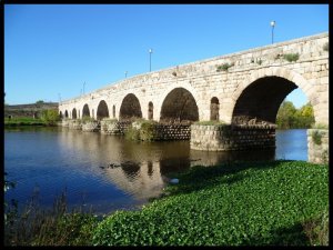 P1050747__1447084040_62895__1447084040_79204