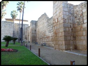 P1050750__1447084145_93160__1447084145_46362