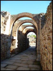 P1050760__1447084248_12664__1447084248_42938