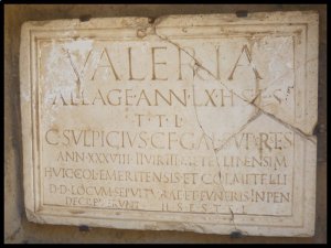 P1050786__1447084765_95328__1447084765_32535