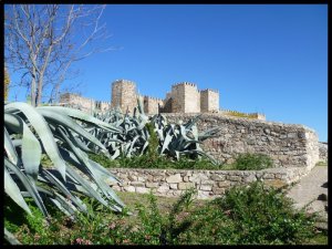 P1050812__1447095104_47296__1447095104_39974