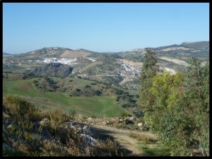 P1050822__1447270839_12088__1447270839_51834