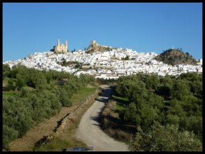 P1050828__1447270961_14144__1447270961_17431