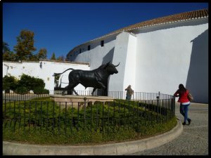 P1050832__1447271117_11514__1447271117_83610