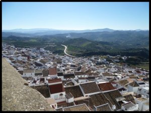 P1050855__1447338533_99250__1447338533_74005