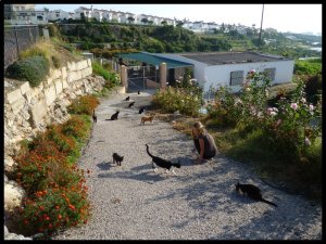 P1050890__1448568552_28711__1448568552_44154