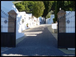 P1050907__1448569036_66896__1448569036_75396