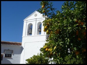 P1050915__1448569092_96839__1448569092_21221