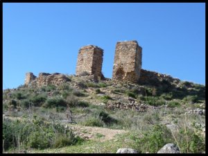 P1050931__1448569341_18899__1448569341_36886