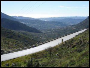 P1050936__1448569402_90960__1448569402_30339