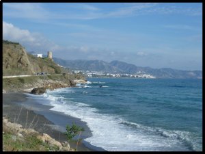 P1050972__1450025191_90803__1450025191_95784