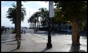 P1050979__1450025310_31811__1450025310_17670